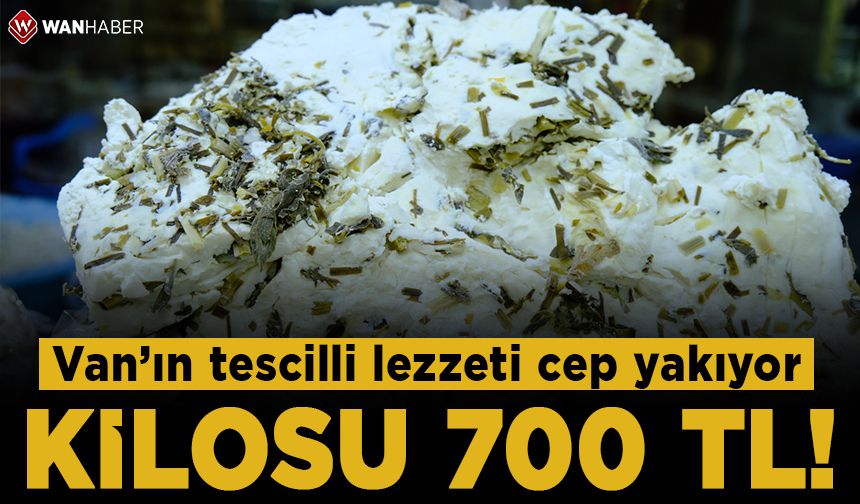 Van’ın tescilli lezzeti cep yakıyor! Kilosu 700 TL’ye dayandı