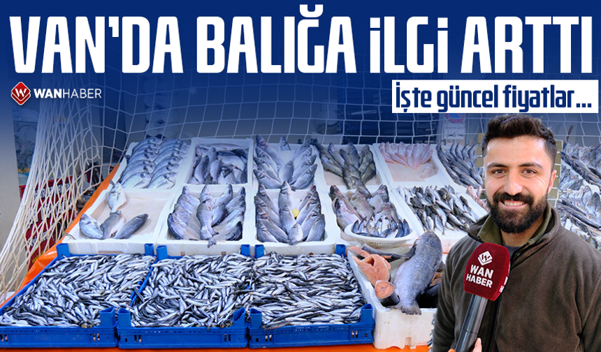 Van’da balığa ilgi arttı! İşte güncel fiyatlar…