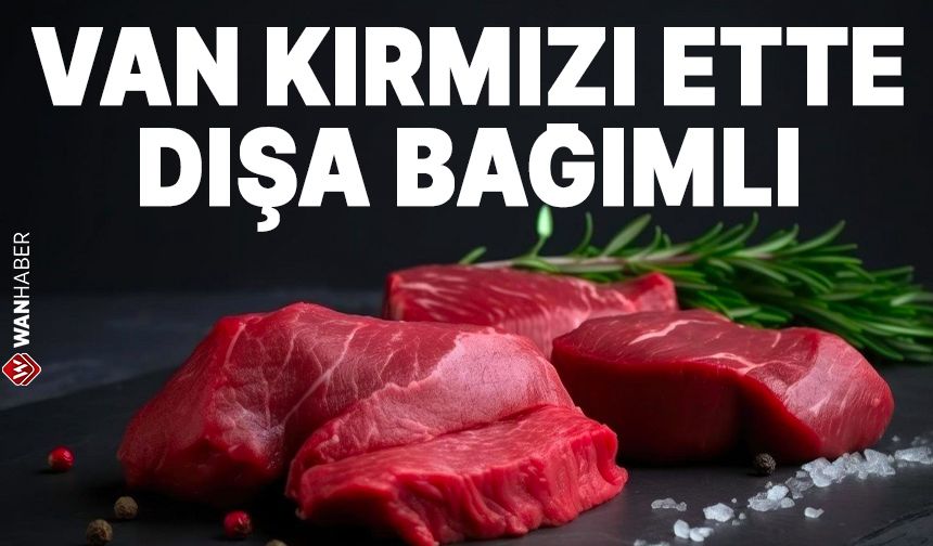 Van kırmızı ette dışa bağımlı!