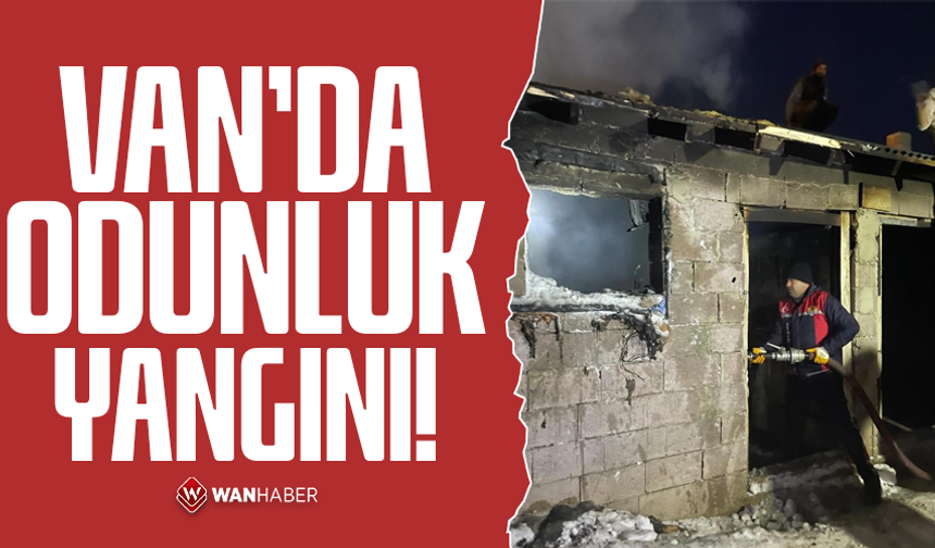 Van'da odunluk yangını