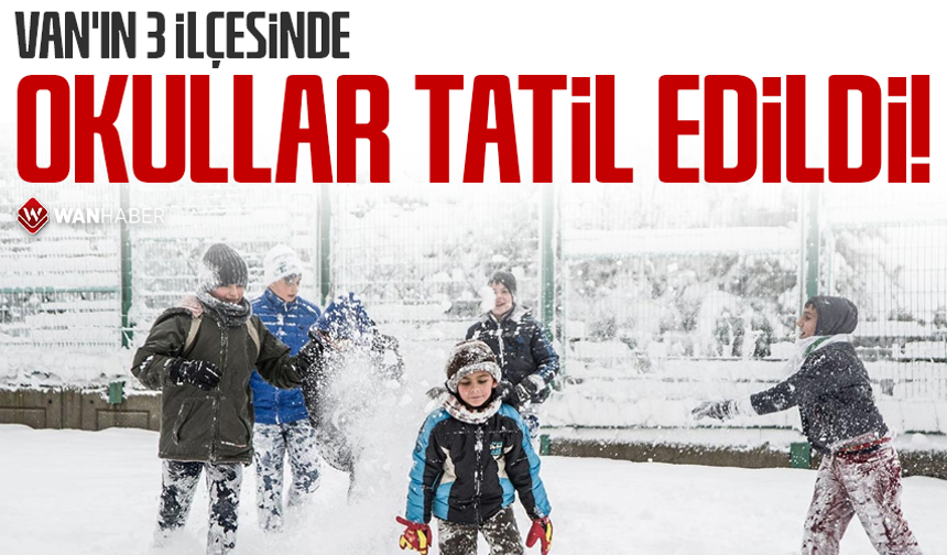 Van'ın 3  ilçesinde okullar tatil edildi