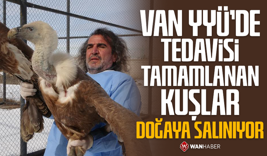 Van YYÜ'de tedavisi tamamlanan kuşlar doğaya dönüyor
