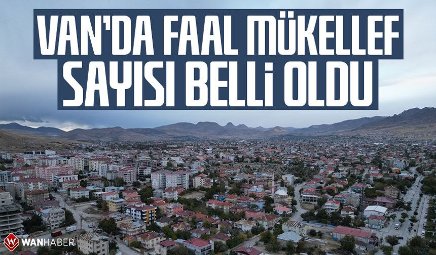 Van’da faal mükellef sayısı belli oldu