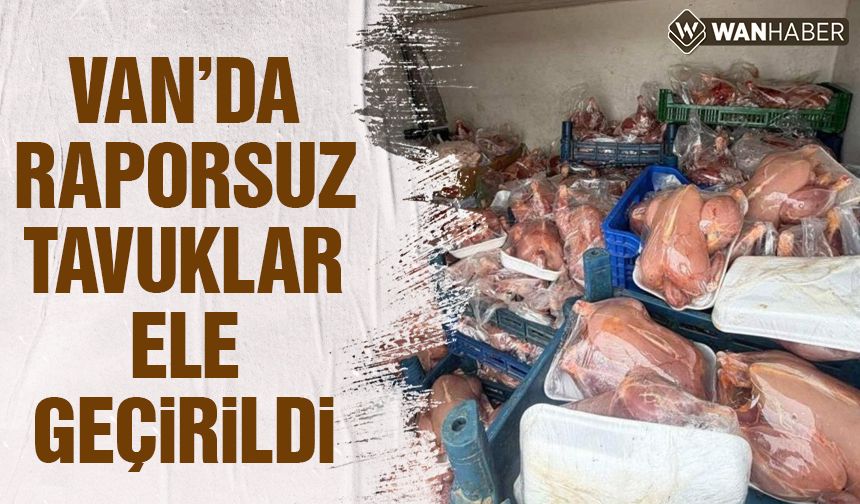 Van'da raporsuz tavuklar ele geçirildi