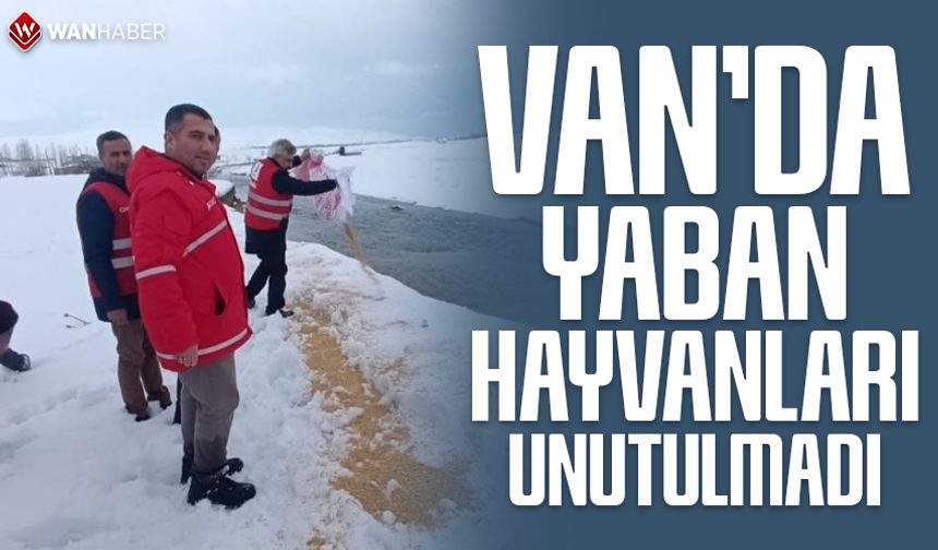 Van’da yaban hayvanları unutulmadı