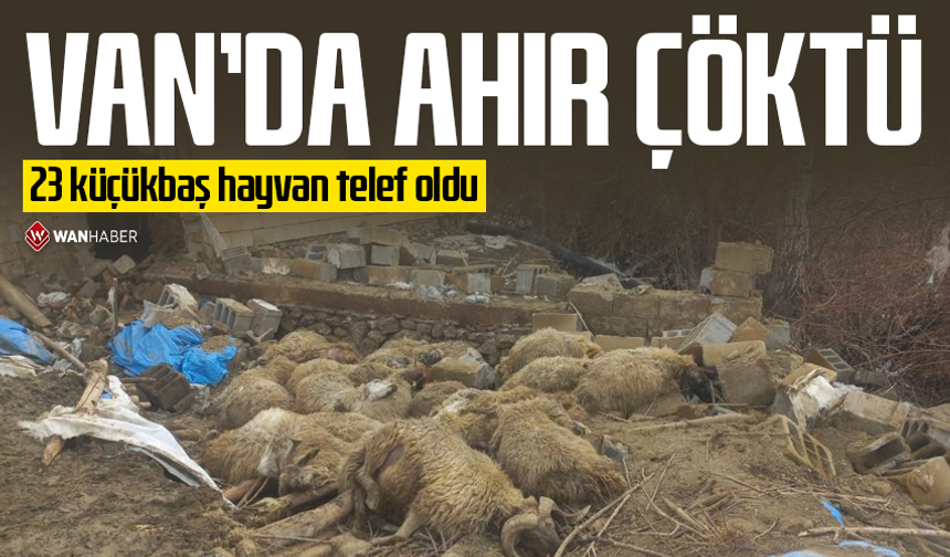 Van'da ahır çöktü, 23 küçükbaş hayvan telef oldu