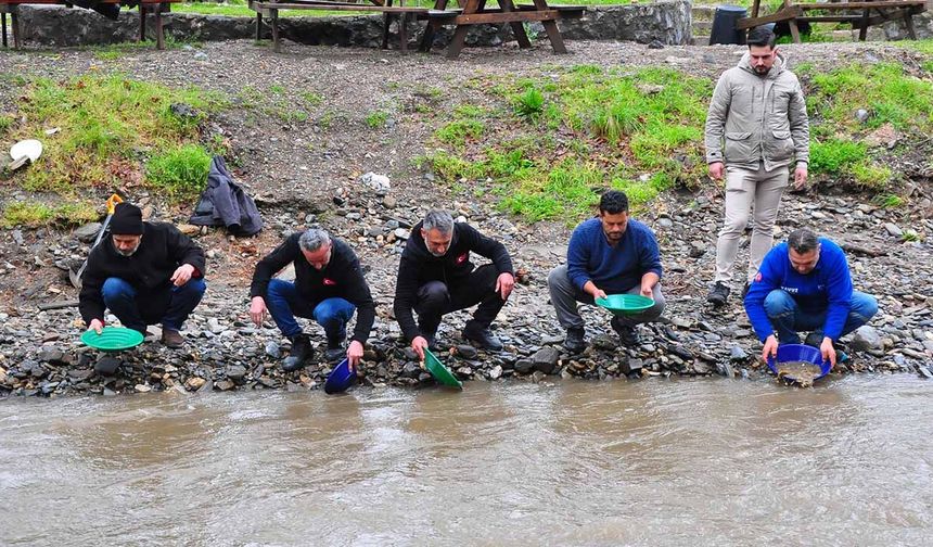 Altın avcıları derede altın aradı