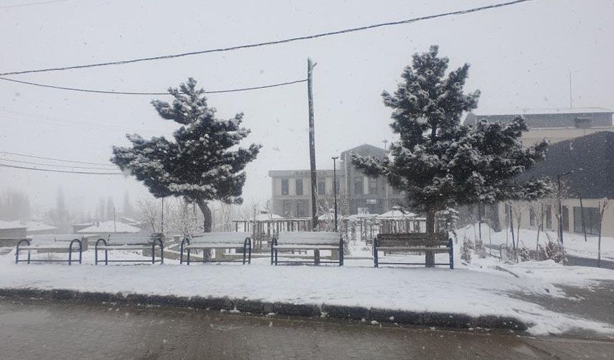 Başkale'de kar yağışı