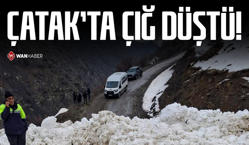 Çatak'ta çığ düştü: 1 mahalle ve 8 mezraya ulaşımı sağlanamıyor