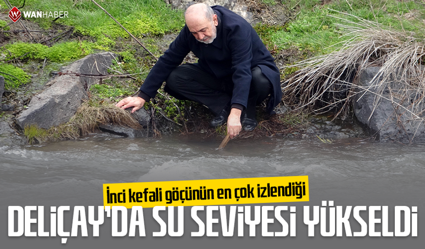 İnci kefali göçünün en çok izlendiği Deliçay'da su seviyesi yükseldi