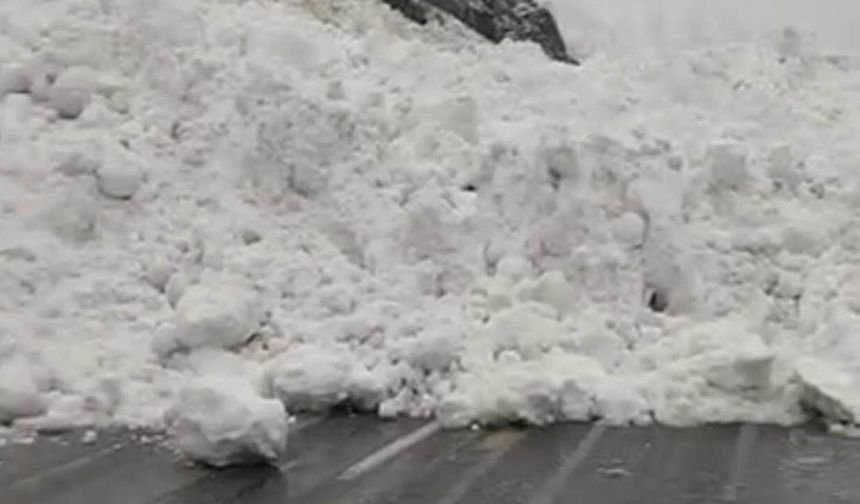 Hakkâri-Çukurca kara yoluna çığ düştü