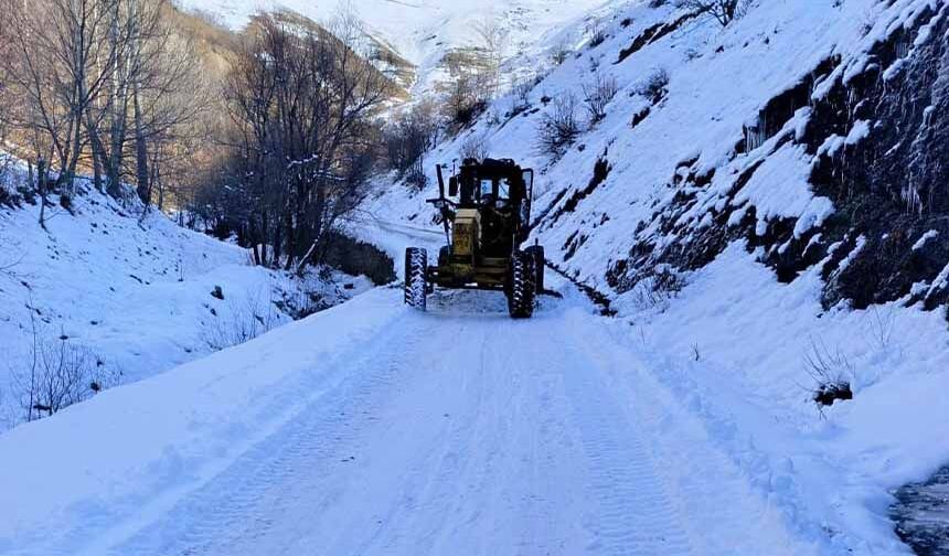 Van’da 20 yerleşim yeri yolu ulaşıma kapalı