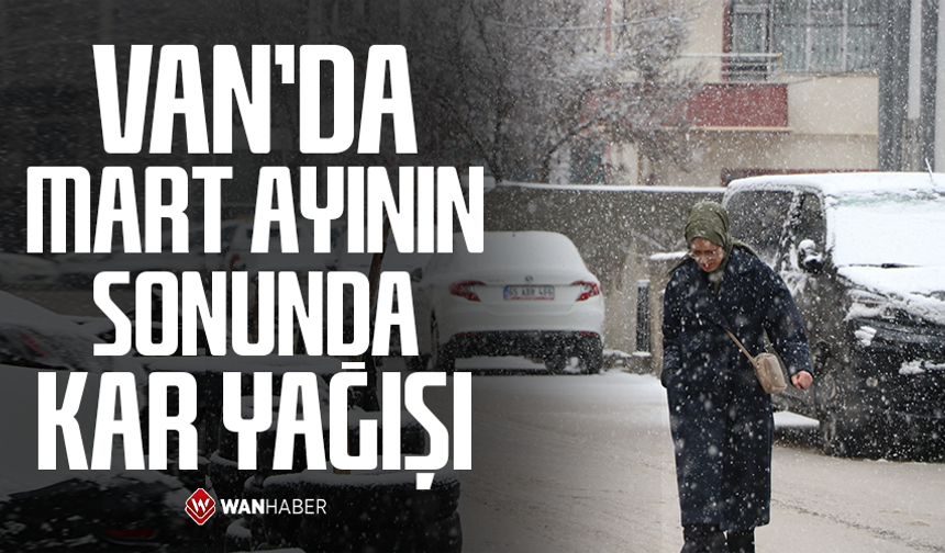Van'da mart ayının sonunda kar yağışı