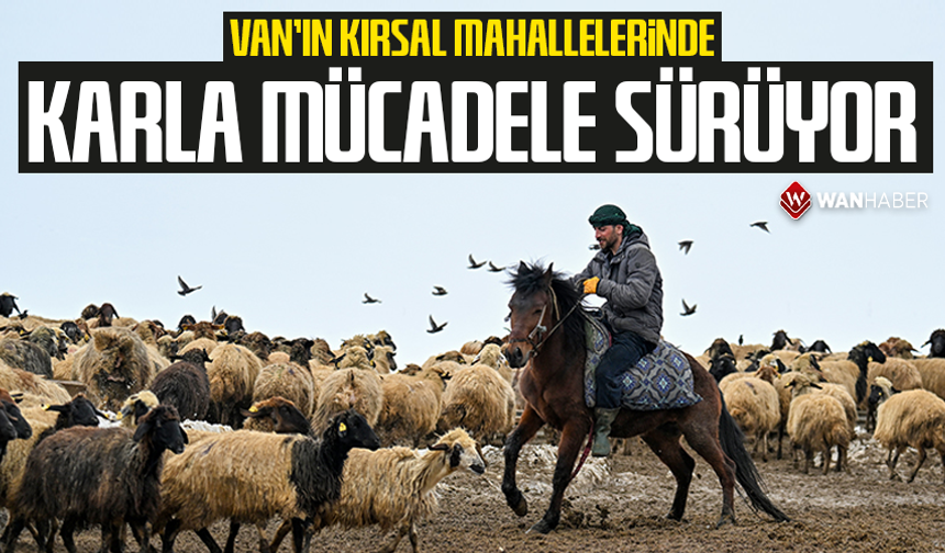 Van'ın kırsal mahallelerinde karla mücadele sürüyor