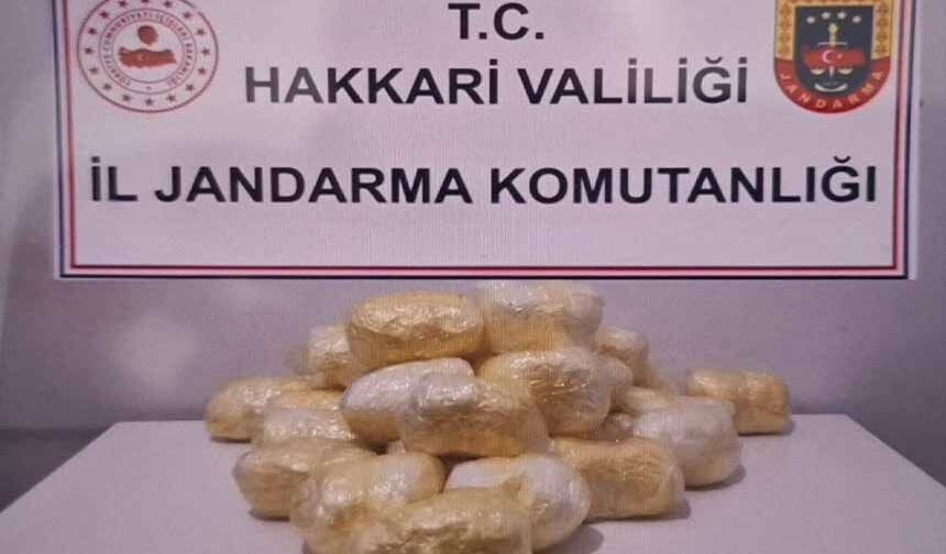 Hakkari'de tırda 15 kilo 263 gram metamfetamin ele geçirildi