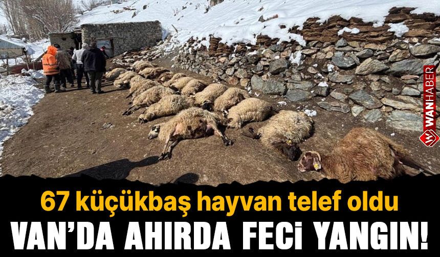 Van'da ahırda feci yangın!