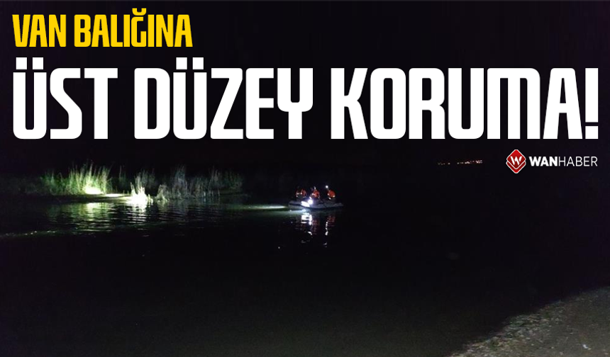 İnci kefallerine üst düzey koruma!