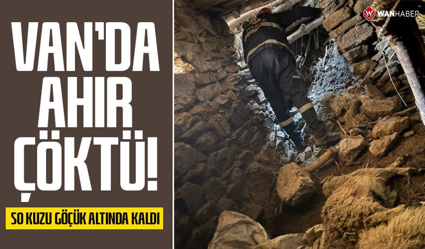 Van'da ahır çöktü: 50 kuzu göçük altında kaldı