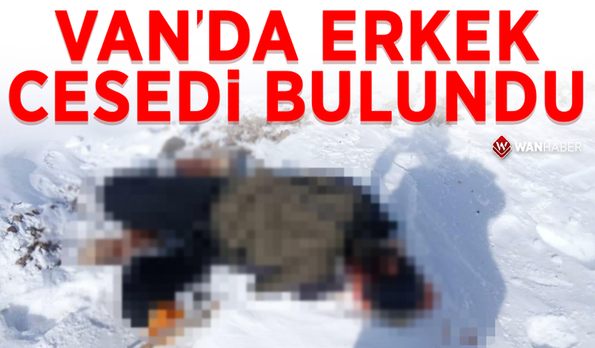 Van'da erkek cesedi bulundu