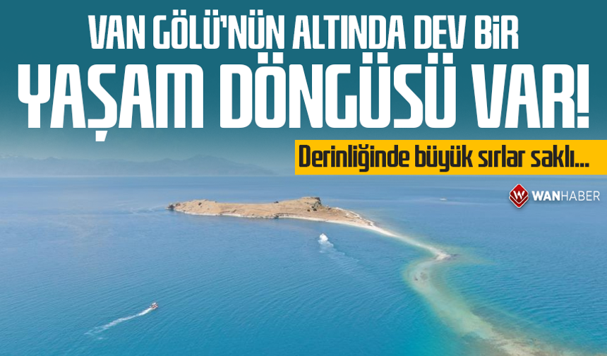 Van Gölü'nün altında dev bir yaşam döngüsü var! Derinliğinde büyük sırlar saklı...