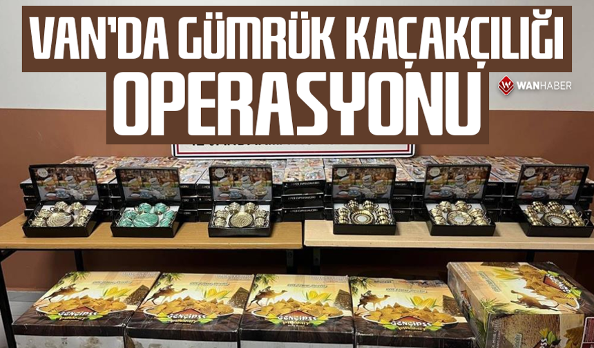 Van’da gümrük kaçakçılığı operasyonu