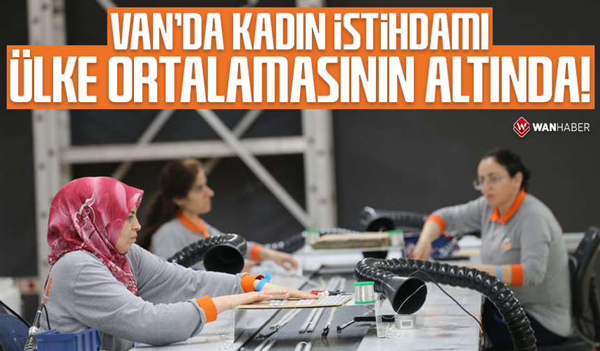 Van’da kadın istihdamı ülke ortalamasının altında!
