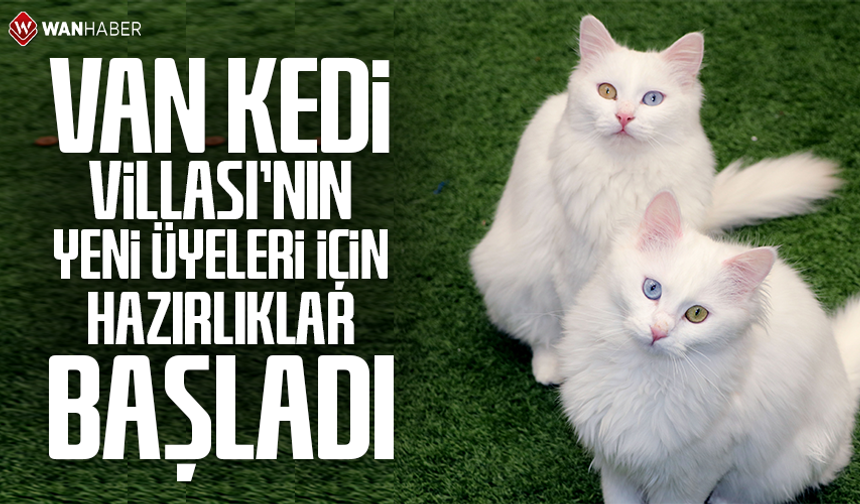 Van Kedi Villası'nın, yeni üyeleri için hazırlıklar başladı