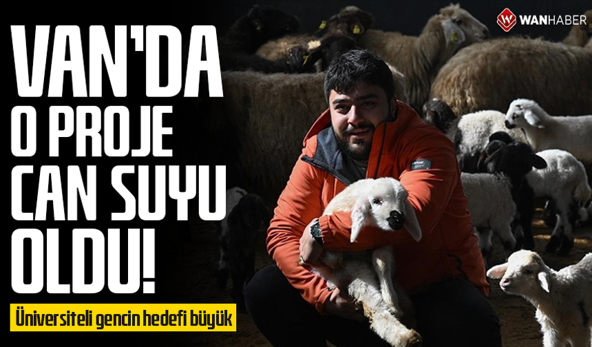 Van'da o proje can suyu oldu: Üniversiteli gencin hedefi büyük