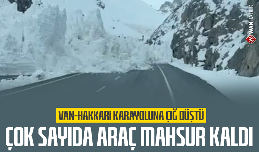 Van-Hakkari karayoluna çığ düştü