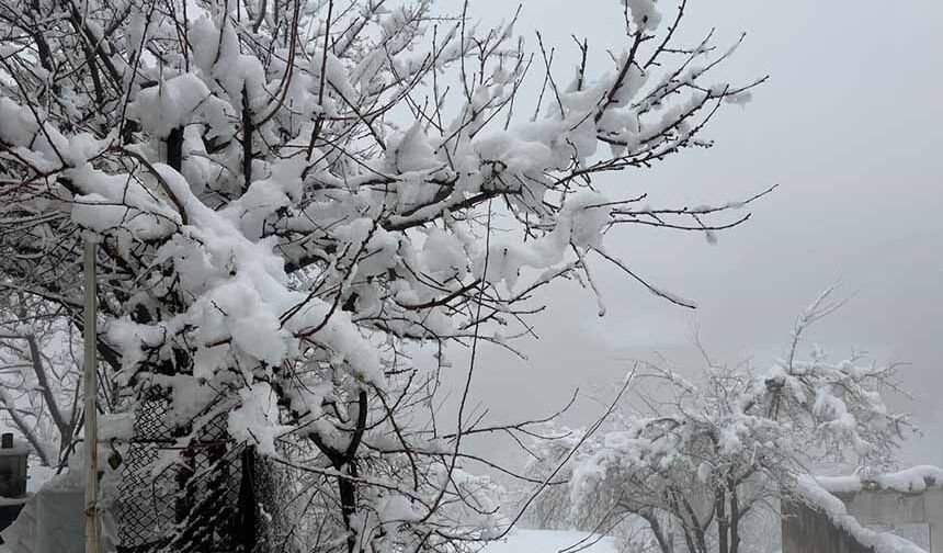 Hakkari’de 82 yerleşim yerinin yolu kapandı