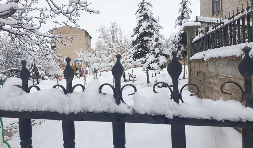 Van'da nisan ayında kar yağışı