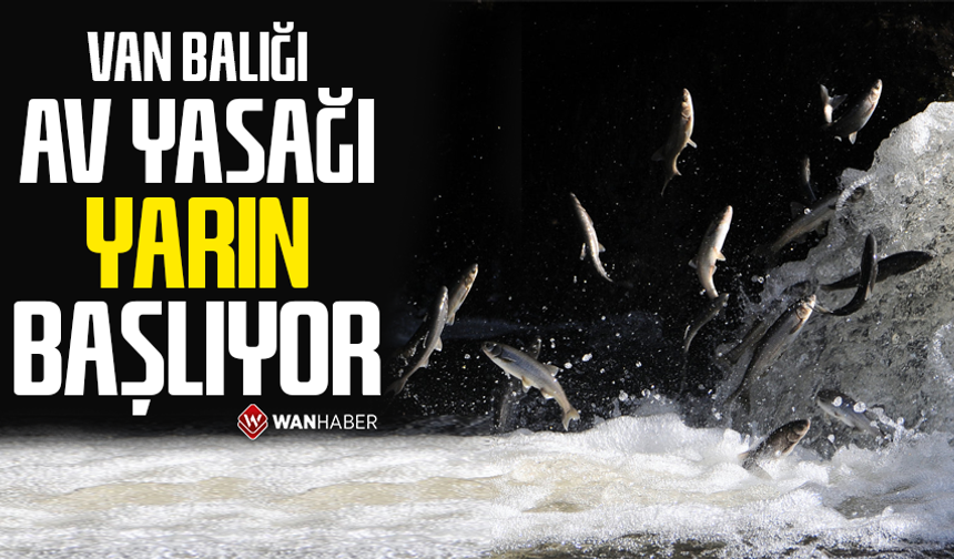 Van Balığı av yasağı yarın başlıyor
