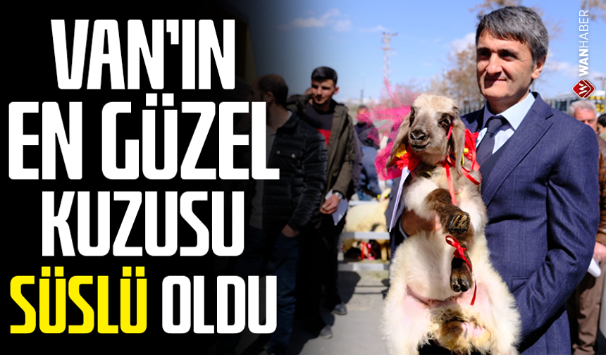 Van’ın en güzel kuzusu ‘Süslü’ oldu