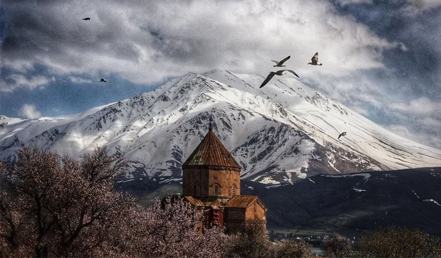 Van’da foto safari yarışmasının sonuçları açıklandı