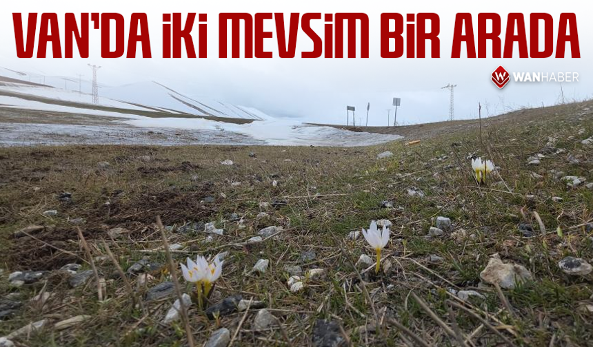 Van'da iki mevsim bir arada