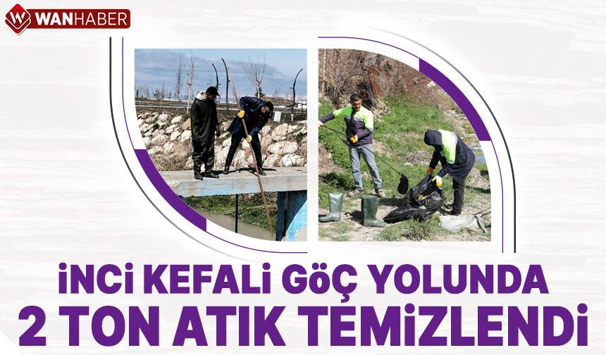 İnci kefalinin göç yolundaki atıklar temizlendi