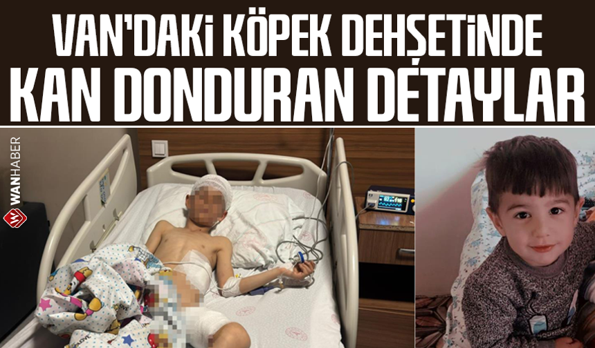 Van’daki köpek dehşetinde kan donduran detaylar