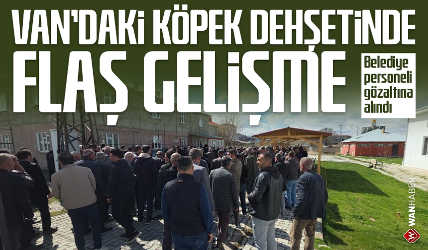 Köpek dehşetinde flaş gelişme! Belediye personeli gözaltına alındı