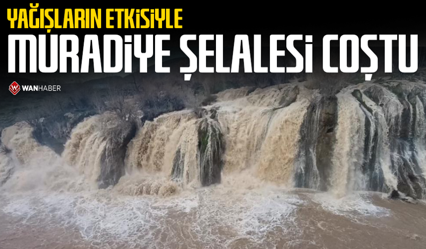 Yağışların etkisiyle Muradiye Şelalesi coştu