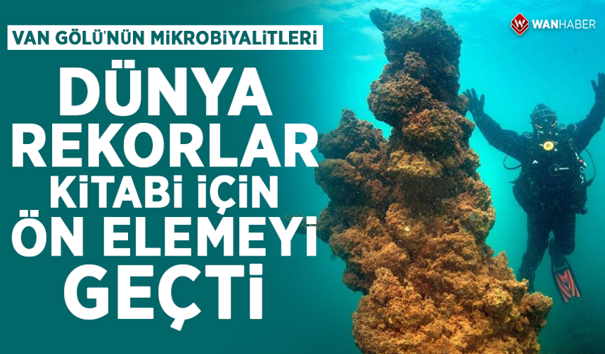 Van Gölü'nün dev mikrobiyalitleri dünya rekorlar kitabı yolunda