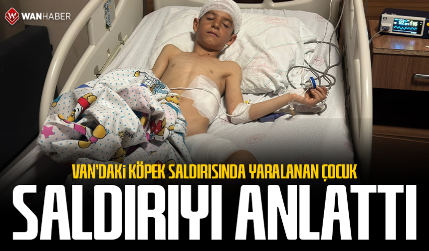 Van'da köpek saldırısında yaralanan çocuk, yaşadıklarını anlattı