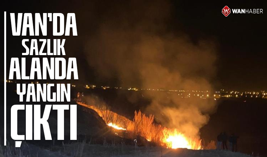 Van'da sazlık alanda yangın çıktı