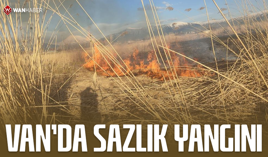 Van'da sazlık yangını!