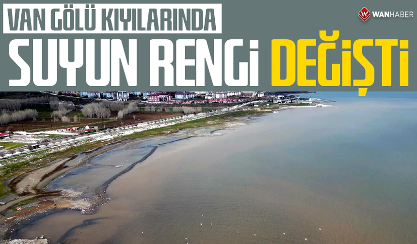 Van Gölü kıyılarında suyun rengi değişti
