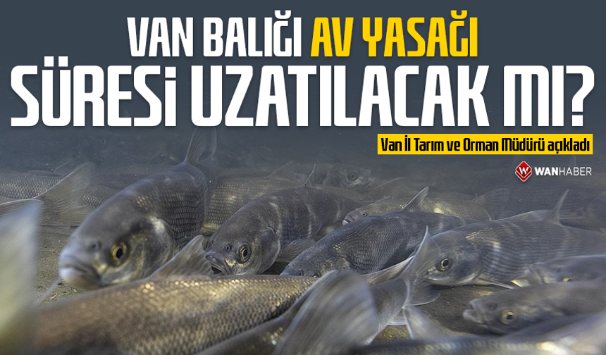 Van Balığı av yasağı süresi uzatılacak mı? Van İl Tarım ve Orman Müdürü açıkladı