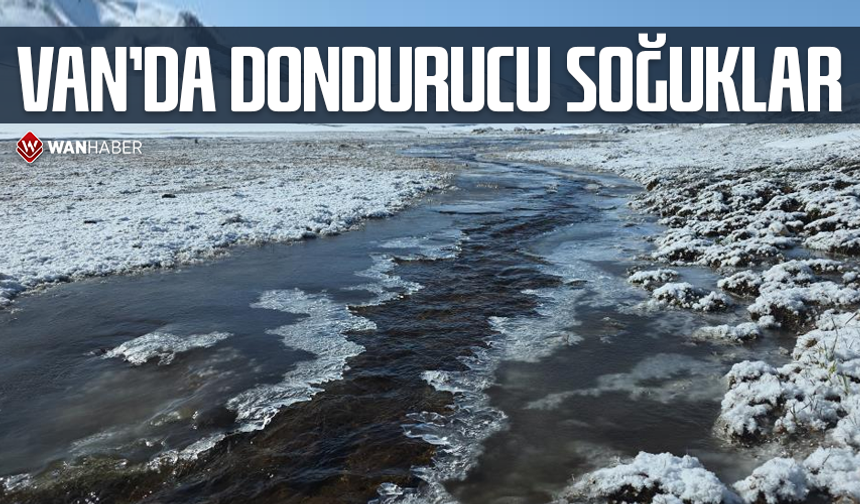 Van'da dondurucu soğuklar
