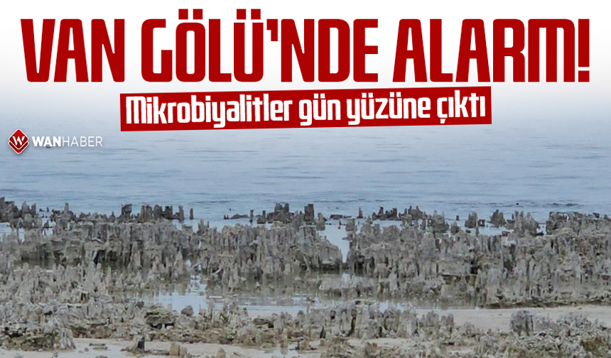 Van Gölü'nde alarm! Mikrobiyalitler gün yüzüne çıktı