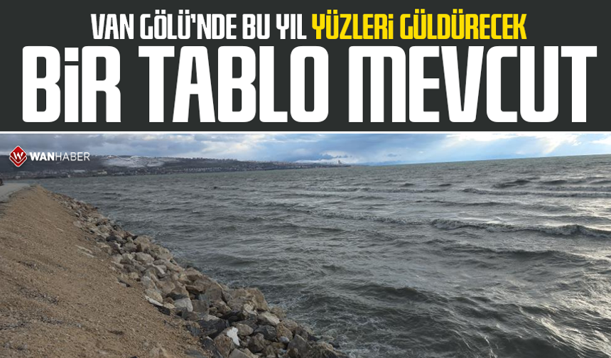 Van Gölü'nde bu yıl yüzleri güldürecek bir tablo mevcut