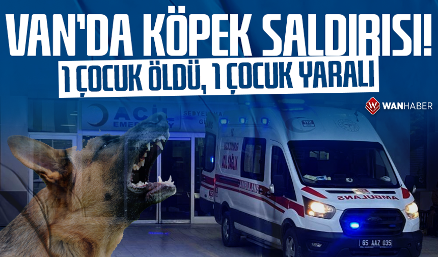 Van'da köpek saldırısı: 1 çocuk öldü, 1 çocuk yaralı