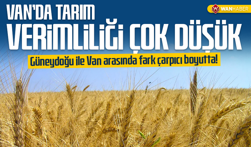 Van’da tarım verimliliği çok düşük: Güneydoğu ile Van arasında fark çarpıcı boyutta!